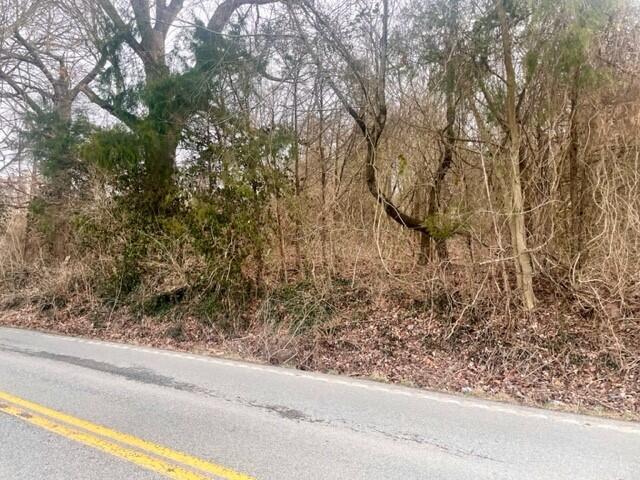 Lot 104 Kennedy Bridge Road Lancaster, KY 40444 - Photo 6 of 13 HC9