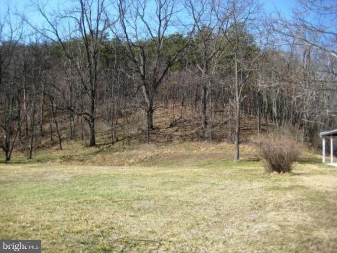50 Virginia Line Road Berkeley Springs, WV 25411 - Photo 15 of 23 Wooded View / Acreage 3