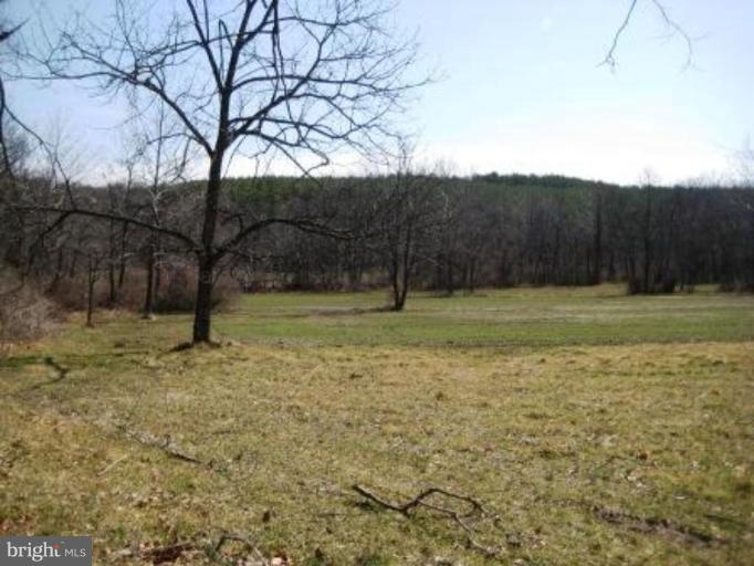 50 Virginia Line Road Berkeley Springs, WV 25411 - Photo 18 of 23 Exterior #3
