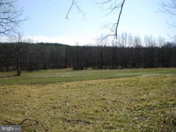 50 Virginia Line Road Berkeley Springs, WV 25411 - Photo 19 of 23 Exterior #4