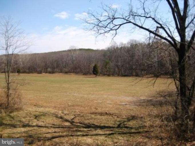 50 Virginia Line Road Berkeley Springs, WV 25411 - Photo 21 of 23 Other #4