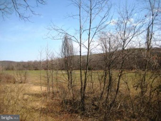 50 Virginia Line Road Berkeley Springs, WV 25411 - Photo 22 of 23 Other #5
