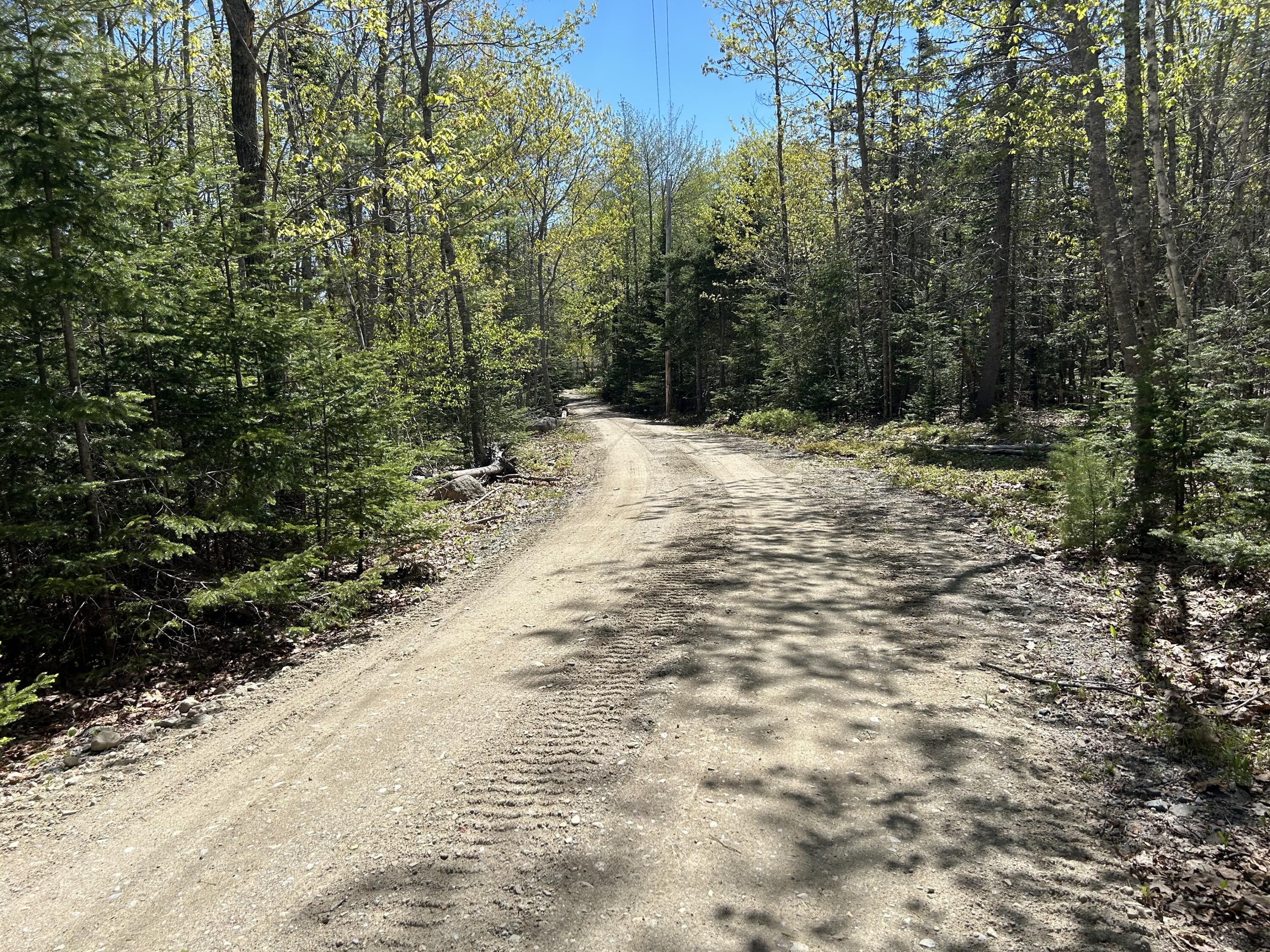 3 Cemetery Road Gouldsboro, ME 04607 - Photo 7 of 21 Private driveway