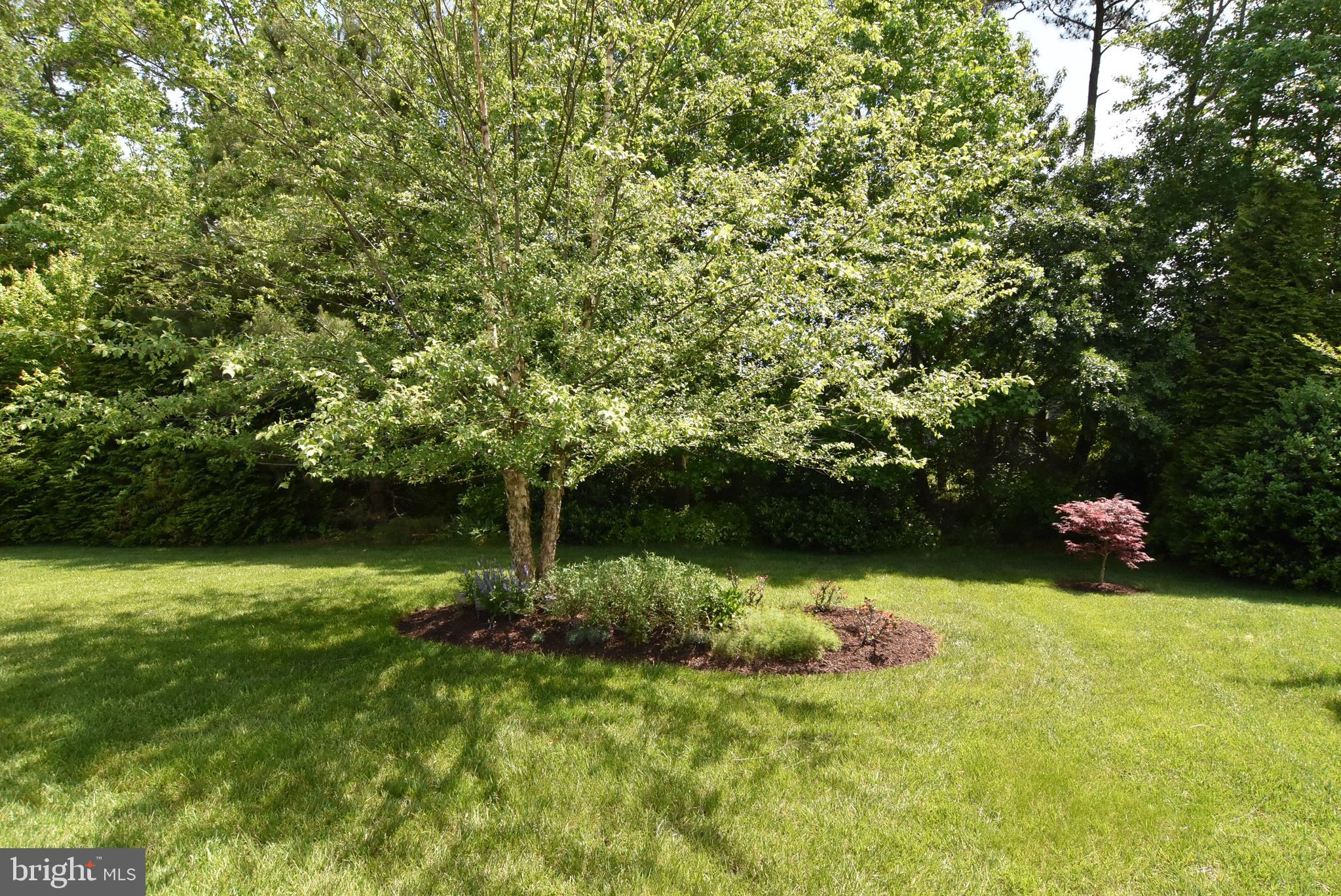 31811 Skimmer Road Ocean View, DE 19970 - Photo 34 of 52 Gallery Image 34