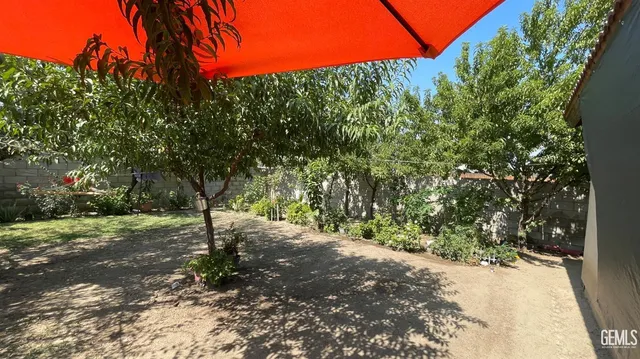 a view of a tree with a yard