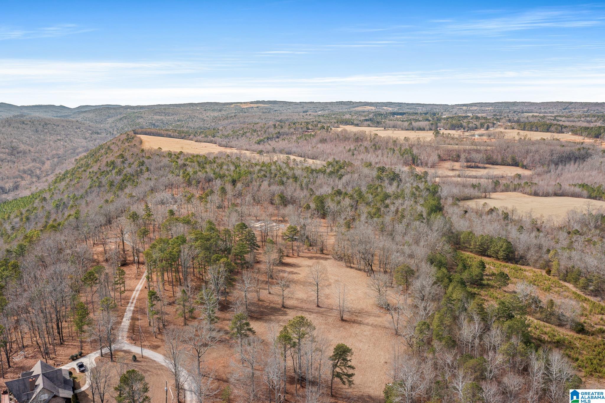 575 Mountain View Lane Springville, AL 35146 - Photo 74 of 84