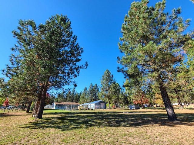 394 Dominion View Road Colville, WA 99114 - Photo 32 of 33