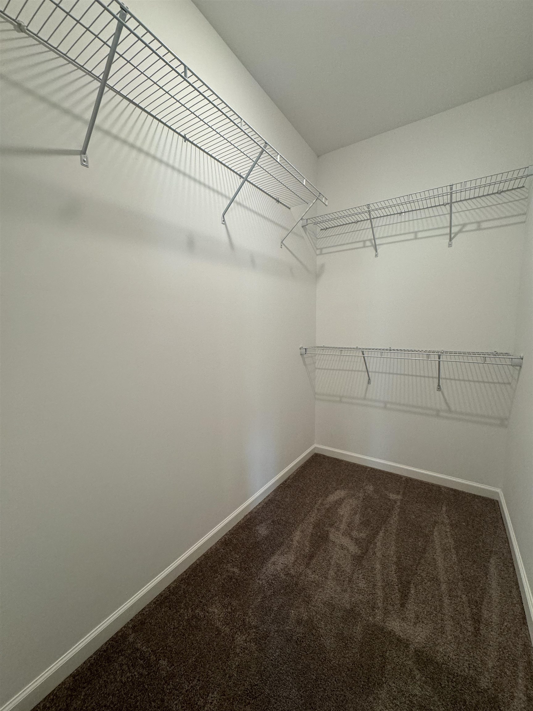 12370 South Main Street Somerville, TN 38068 - Photo 12 of 26 Walk-in closet featuring white walls, wire shelving, and brown carpet flooring
