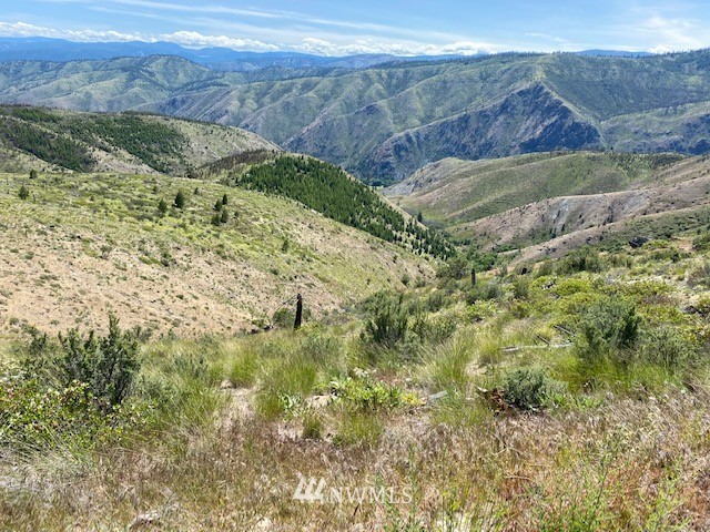 1 Usfs Road, Unit A Entiat, WA 98822 - Photo 2 of 17 Gallery Image 2