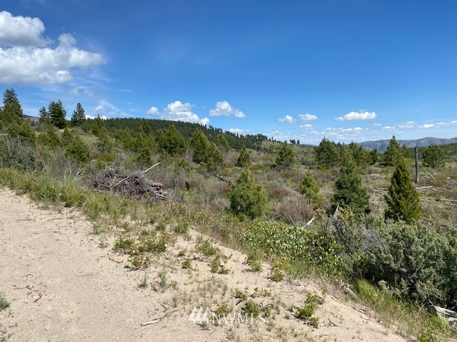 1 Usfs Road, Unit A Entiat, WA 98822 - Photo 13 of 17 Gallery Image 13