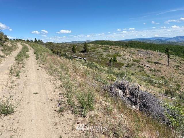 1 Usfs Road, Unit A Entiat, WA 98822 - Photo 14 of 17 Gallery Image 14