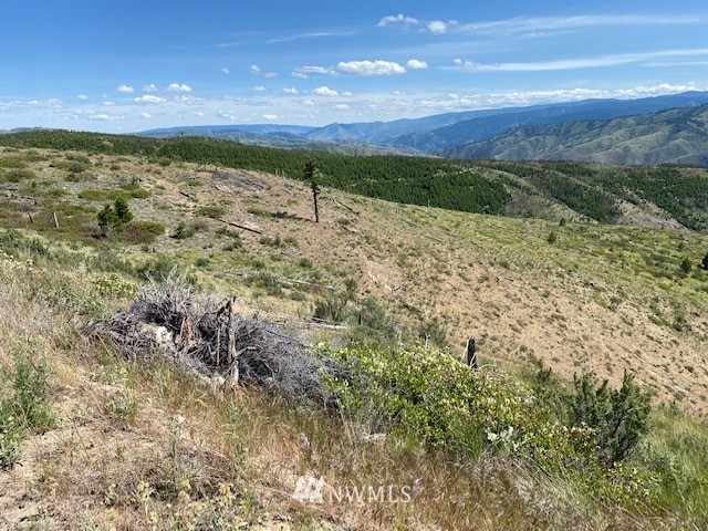 1 Usfs Road, Unit A Entiat, WA 98822 - Photo 15 of 17 Gallery Image 15