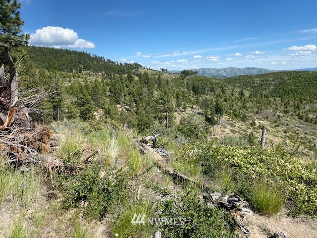 1 Usfs Road, Unit A Entiat, WA 98822 - Photo 16 of 17 Gallery Image 16