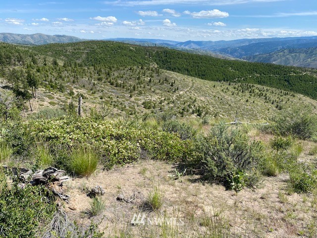1 Usfs Road, Unit A Entiat, WA 98822 - Photo 17 of 17 Gallery Image 17