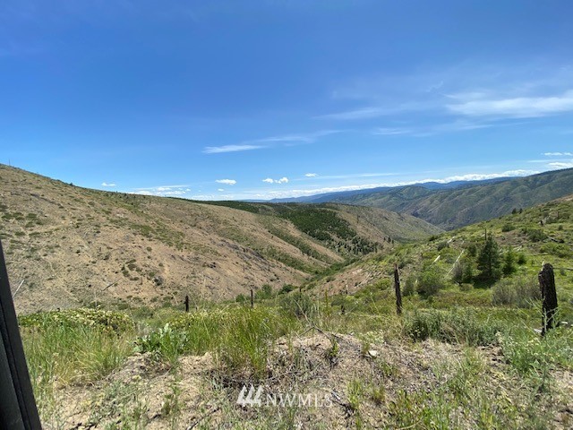 1 Usfs Road, Unit A Entiat, WA 98822 - Photo 3 of 17 Gallery Image 3