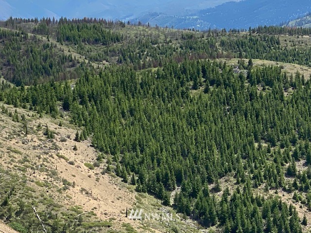 1 Usfs Road, Unit A Entiat, WA 98822 - Photo 4 of 17 Gallery Image 4