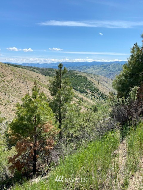 1 Usfs Road, Unit A Entiat, WA 98822 - Photo 5 of 17 Gallery Image 5