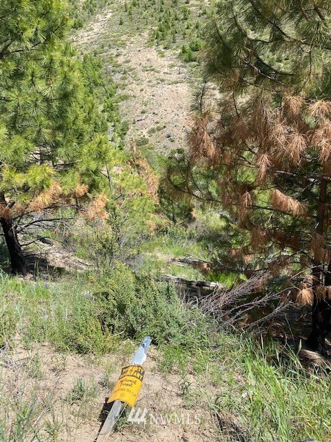 1 Usfs Road, Unit A Entiat, WA 98822 - Photo 6 of 17 Gallery Image 6