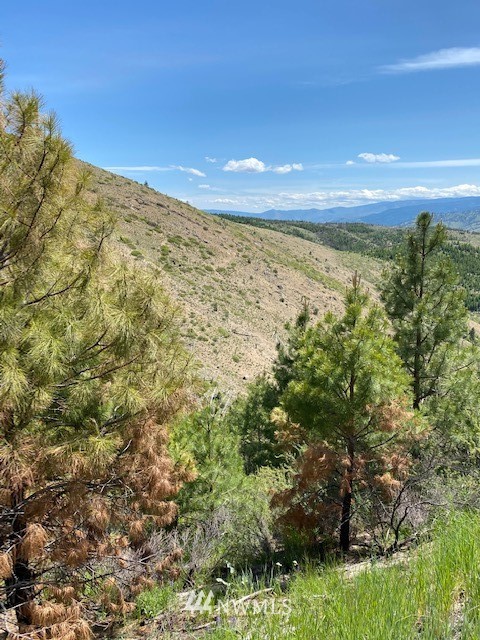1 Usfs Road, Unit A Entiat, WA 98822 - Photo 8 of 17 Gallery Image 8