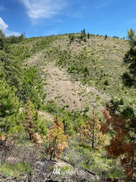 1 Usfs Road, Unit A Entiat, WA 98822 - Photo 9 of 17 Gallery Image 9