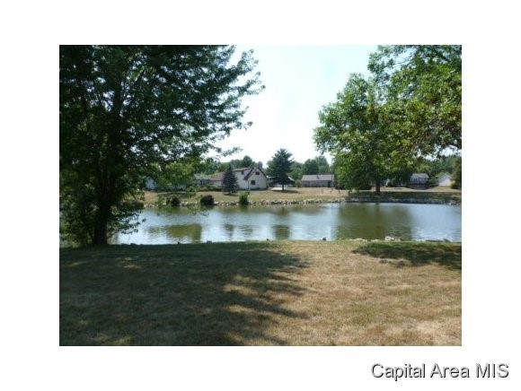 2704 Mead Drive Springfield, IL 62707 - Photo 3 of 20