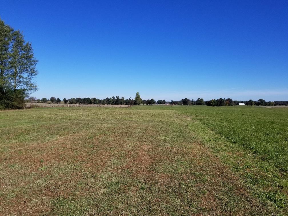 137 Crowder Road Lafayette, TN 37083 - Photo 4 of 14 view from back yard