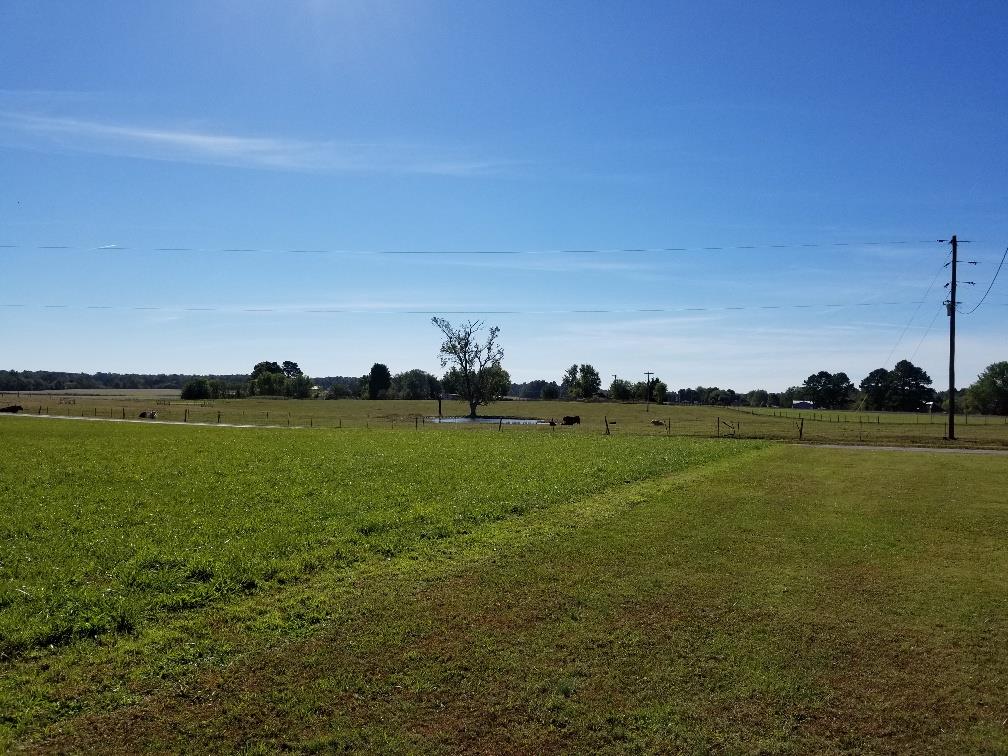 137 Crowder Road Lafayette, TN 37083 - Photo 5 of 14 view from front yard