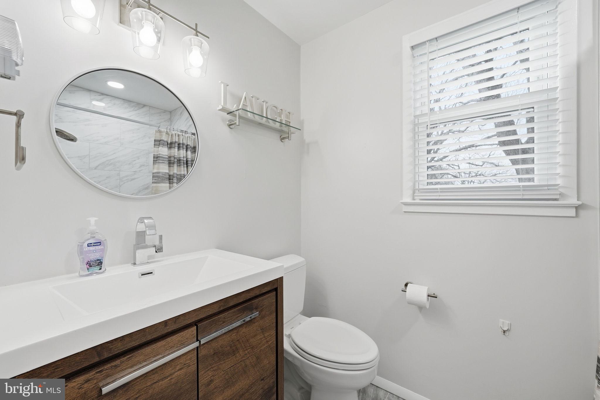 4616 Exeter Street Annandale, VA 22003 - Photo 16 of 36 a bathroom with a sink a mirror and toilet