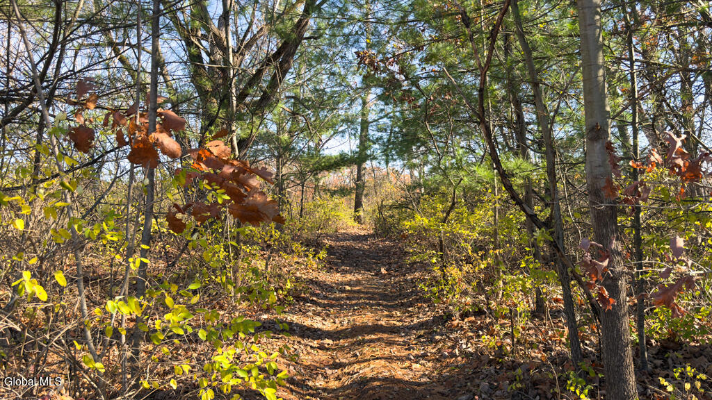 733 Hudson River Road Halfmoon, NY 12118 - Photo 43 of 63 IMG_9696-2