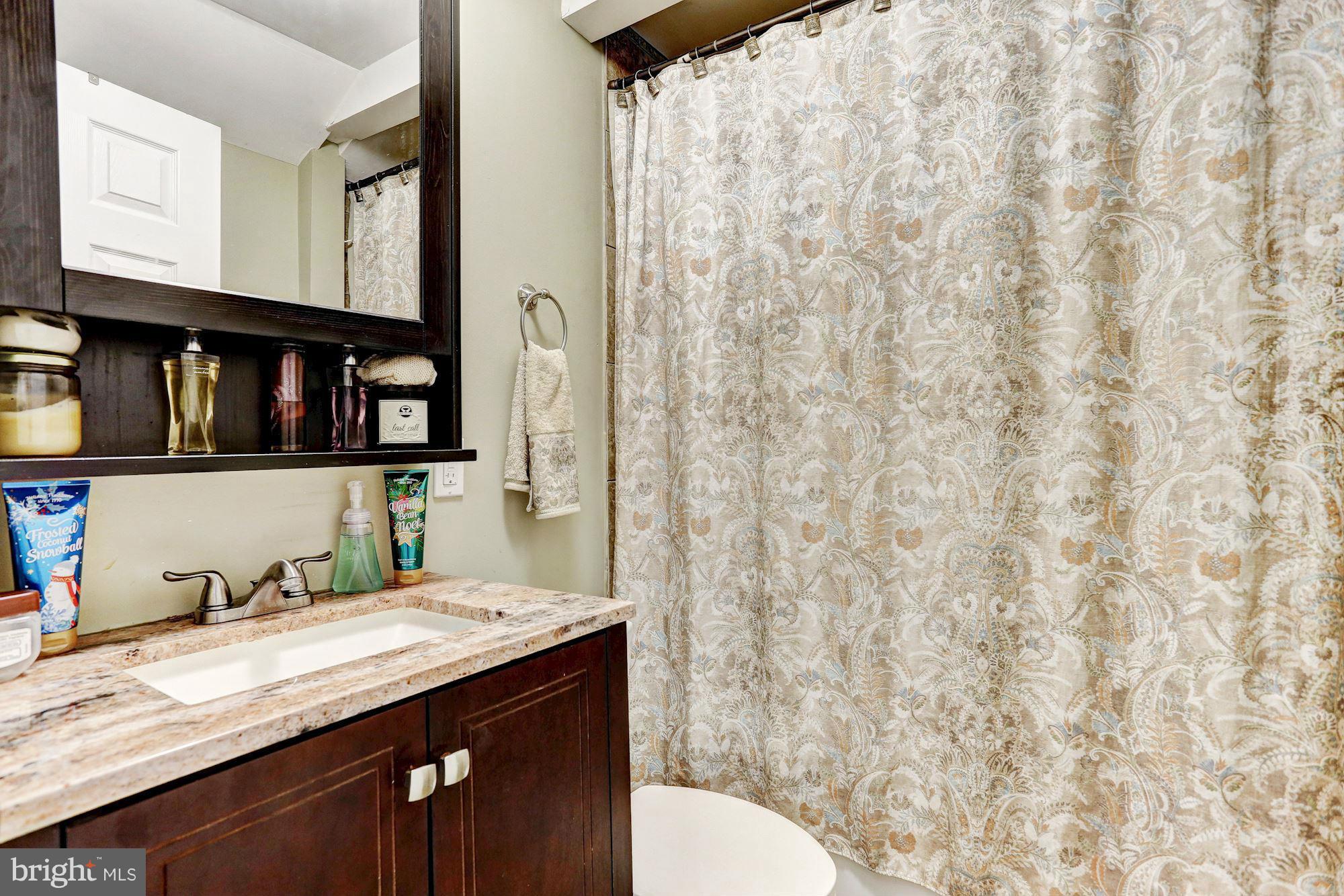 7018 Alden Road Pikesville, MD 21208 - Photo 11 of 18 Bath (Master)