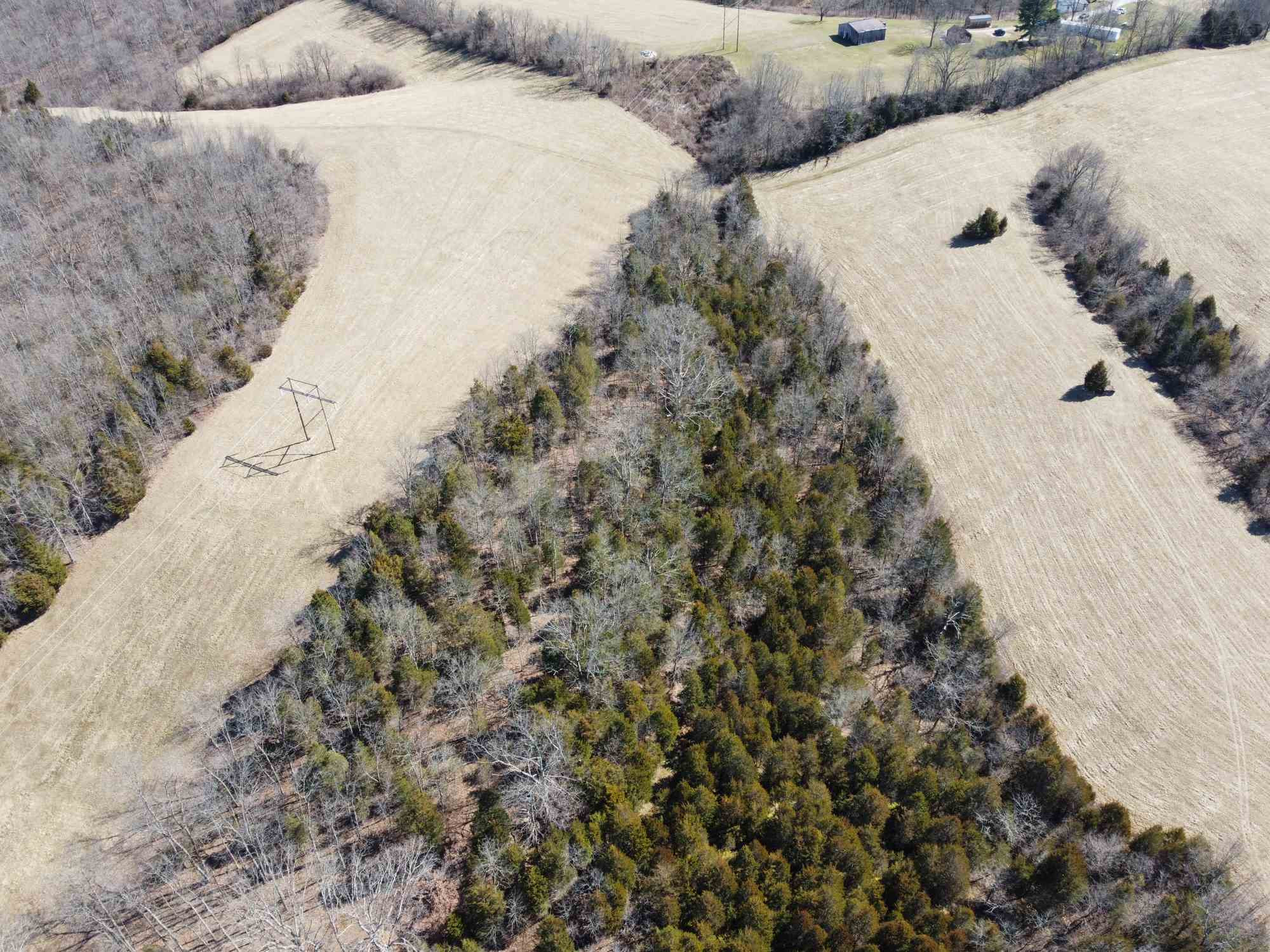 2740 Lemon Northcutt Road Dry Ridge, KY 41035 - Photo 15 of 37
