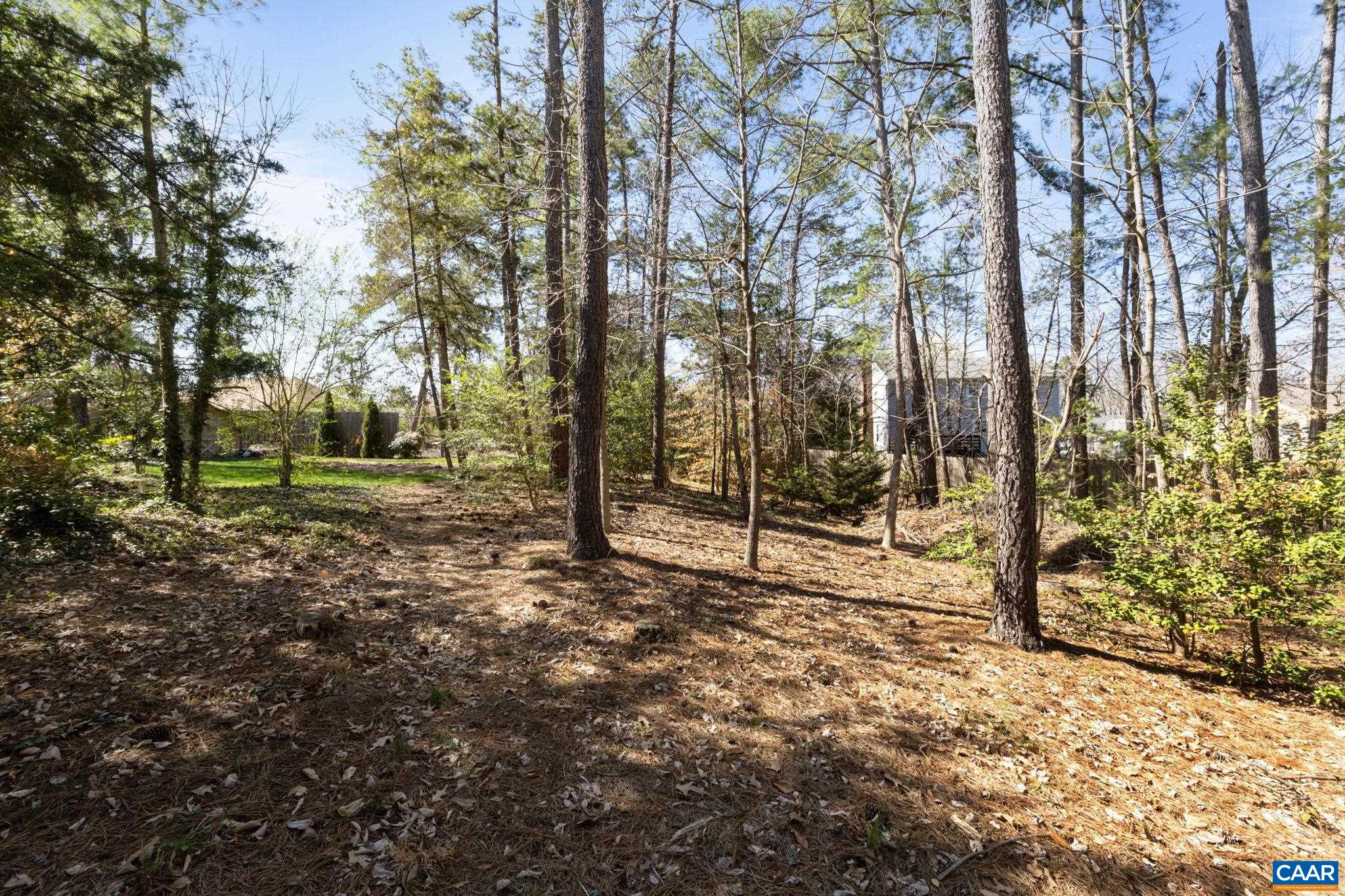 2507 Northfield Road Charlottesville, VA 22901 - Photo 58 of 68 a view of a tree in the middle of a yard