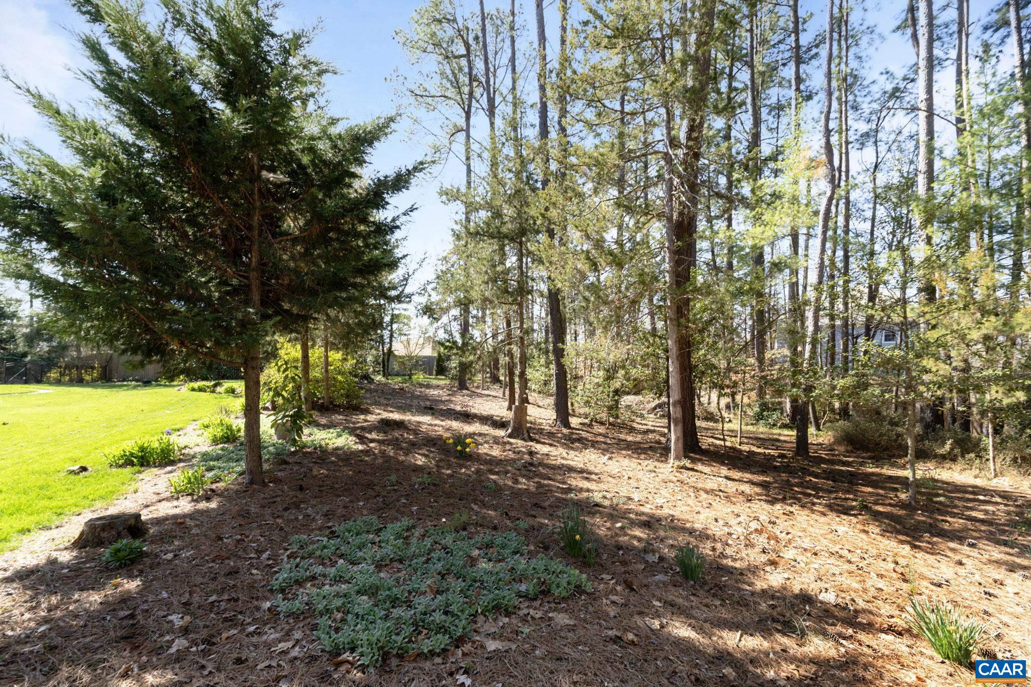 2507 Northfield Road Charlottesville, VA 22901 - Photo 59 of 68 a view of outdoor space with deck and tree
