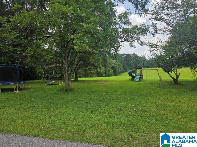 1660 Country Club Road Roanoke, AL 36274 - Photo 45 of 48