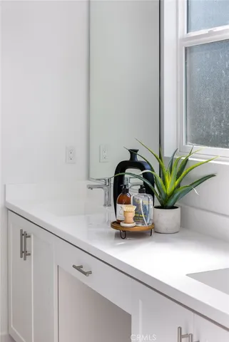 a view of a potted plant on a counter top