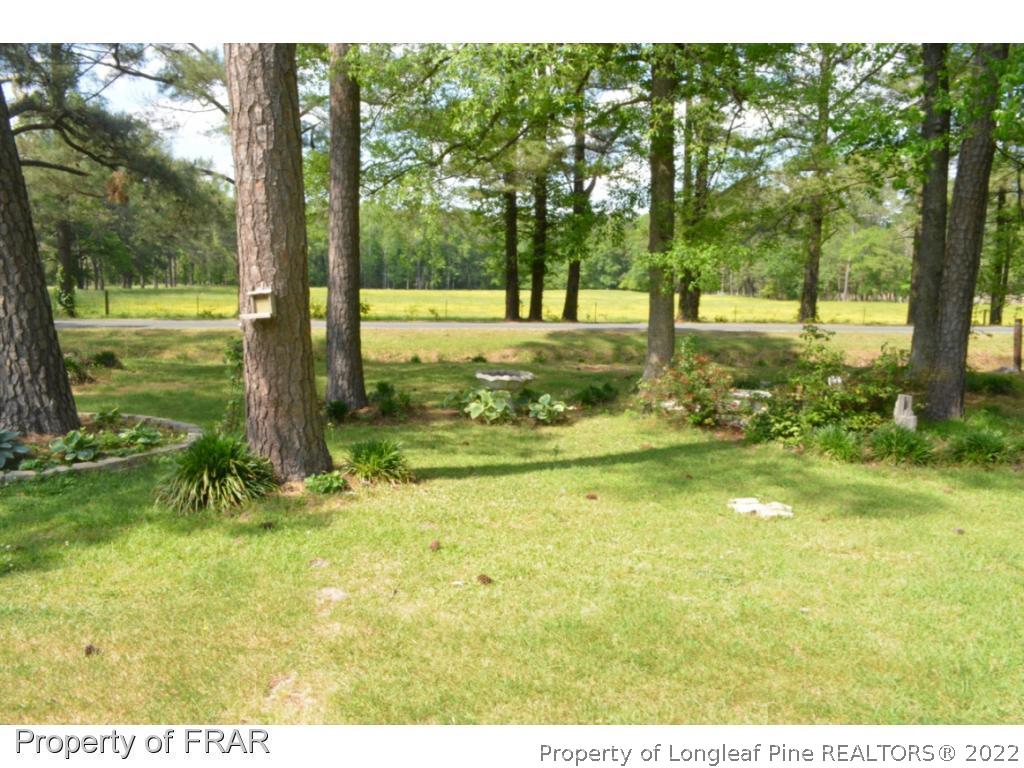 663 Delma Grimes Road Coats, NC 27521 - Photo 3 of 32 Gallery Image 3