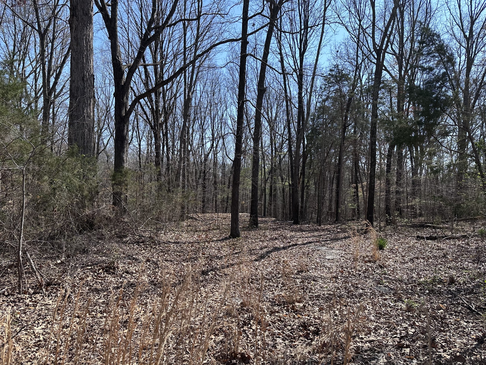 0 Campbell Road Cross Plains, TN 37049 - Photo 1 of 19