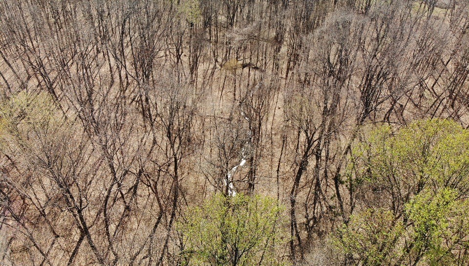 0 Campbell Road Cross Plains, TN 37049 - Photo 11 of 19