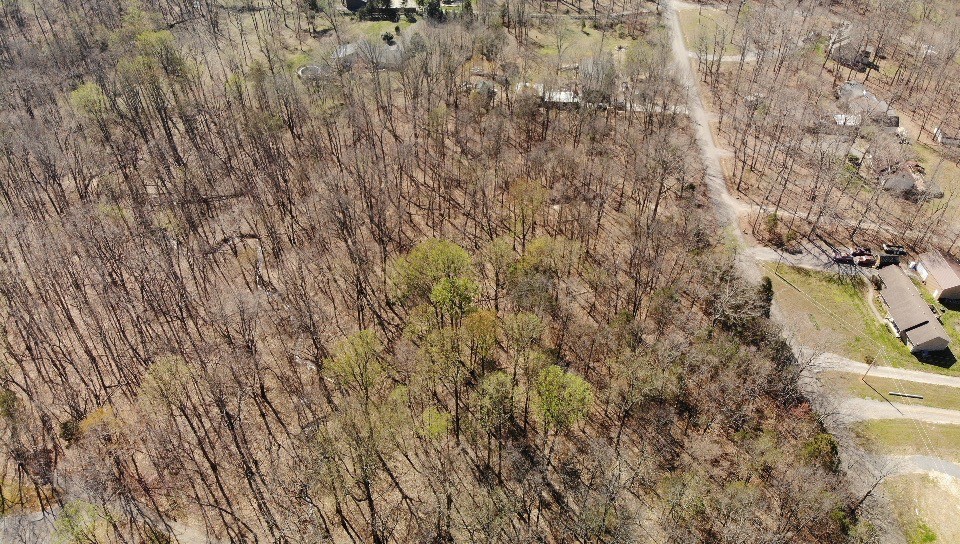 0 Campbell Road Cross Plains, TN 37049 - Photo 12 of 19