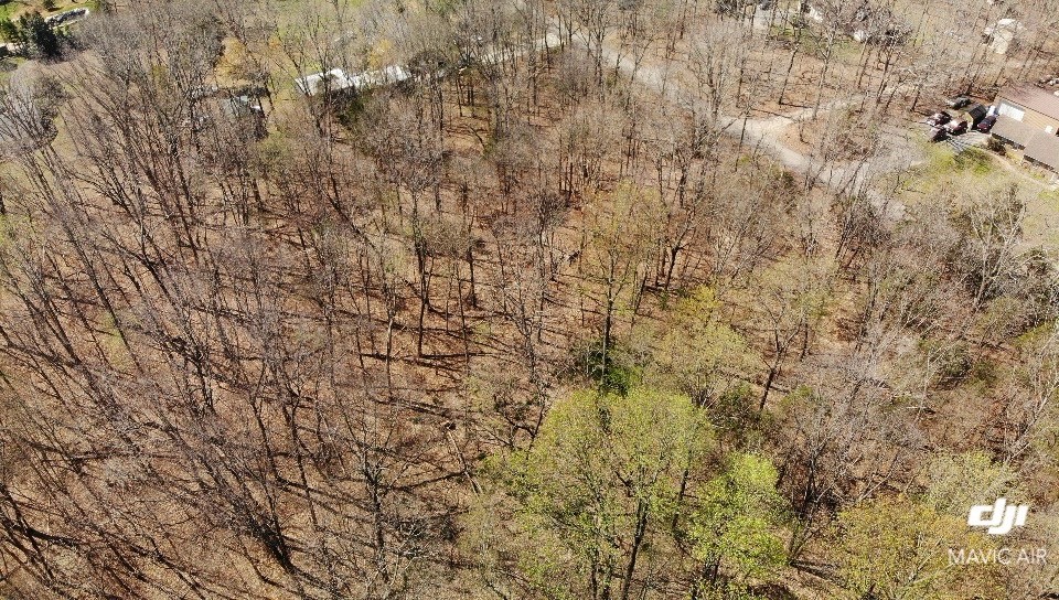 0 Campbell Road Cross Plains, TN 37049 - Photo 13 of 19