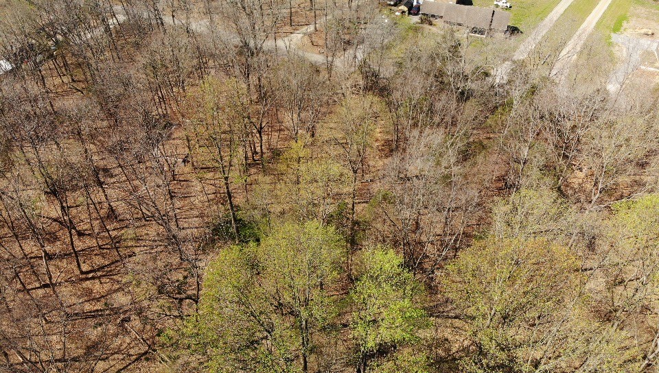 0 Campbell Road Cross Plains, TN 37049 - Photo 14 of 19