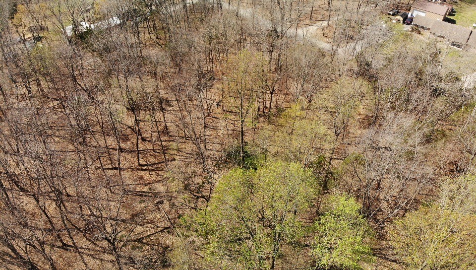 0 Campbell Road Cross Plains, TN 37049 - Photo 16 of 19