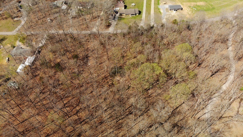 0 Campbell Road Cross Plains, TN 37049 - Photo 17 of 19