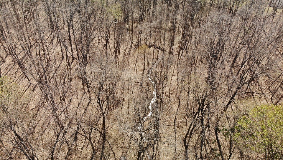 0 Campbell Road Cross Plains, TN 37049 - Photo 18 of 19