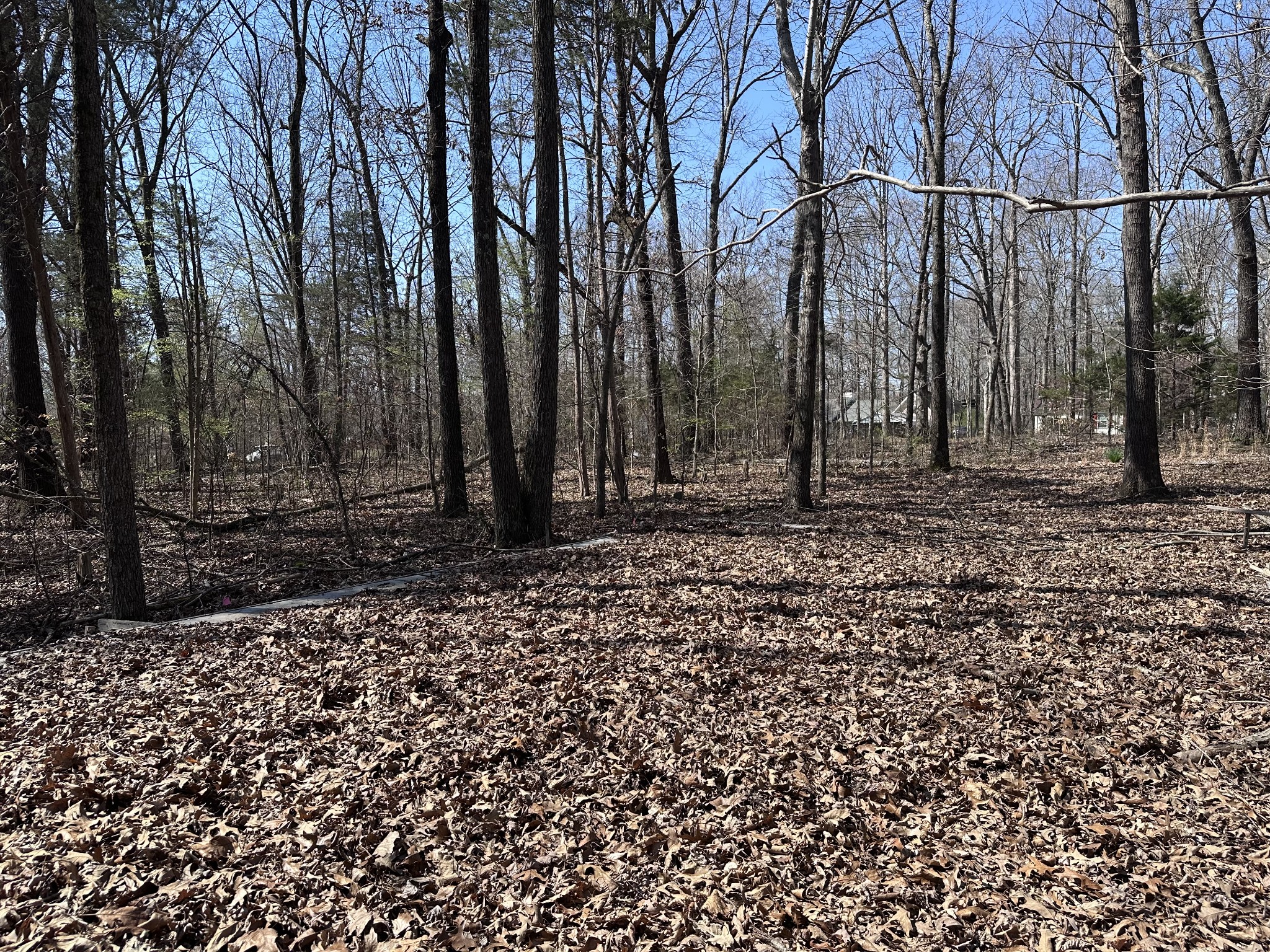 0 Campbell Road Cross Plains, TN 37049 - Photo 2 of 19