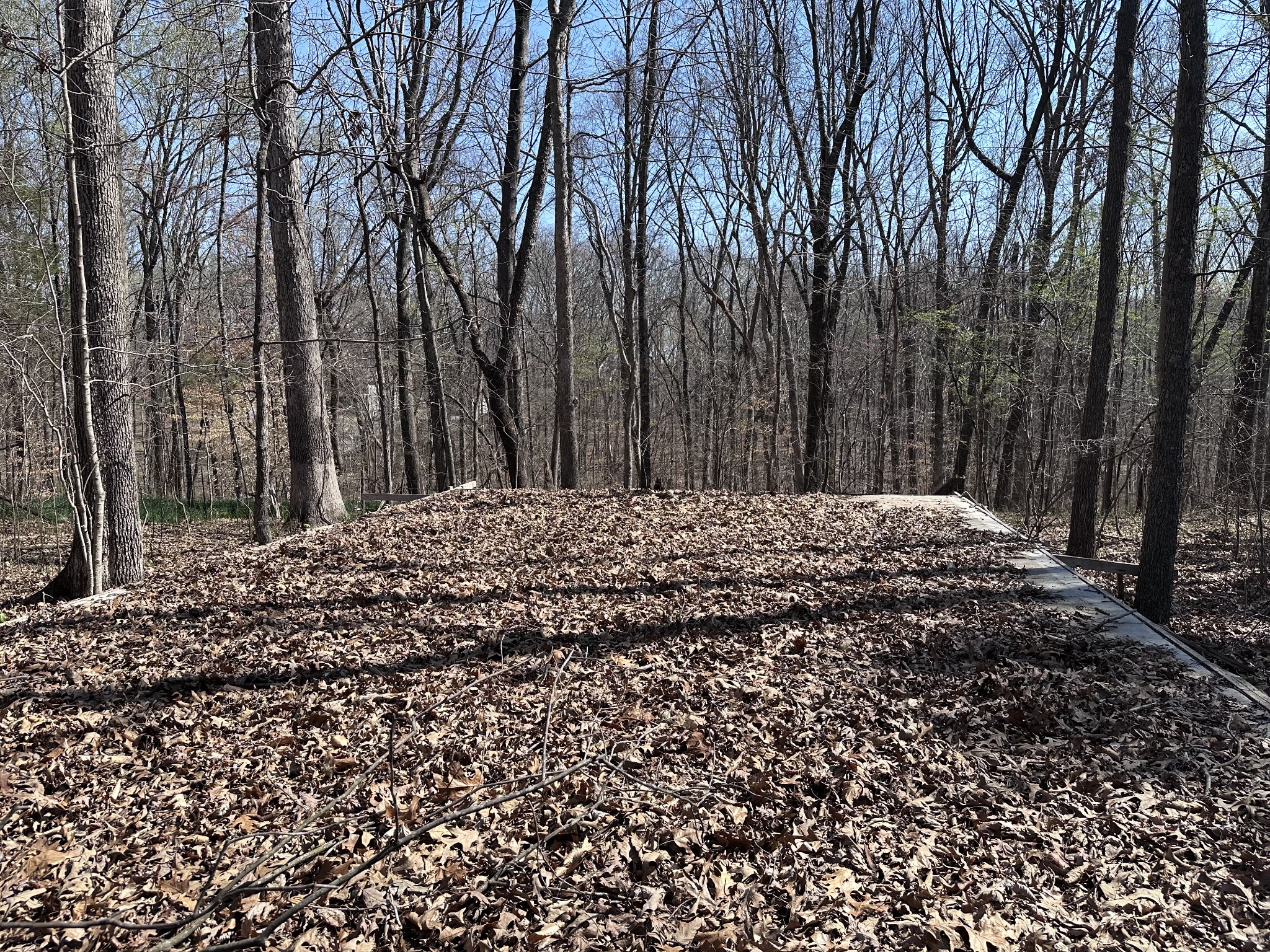 0 Campbell Road Cross Plains, TN 37049 - Photo 3 of 19