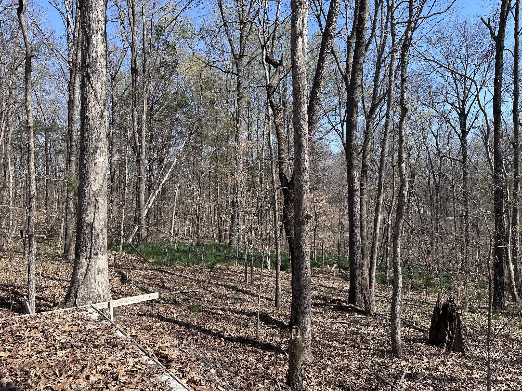 0 Campbell Road Cross Plains, TN 37049 - Photo 4 of 19