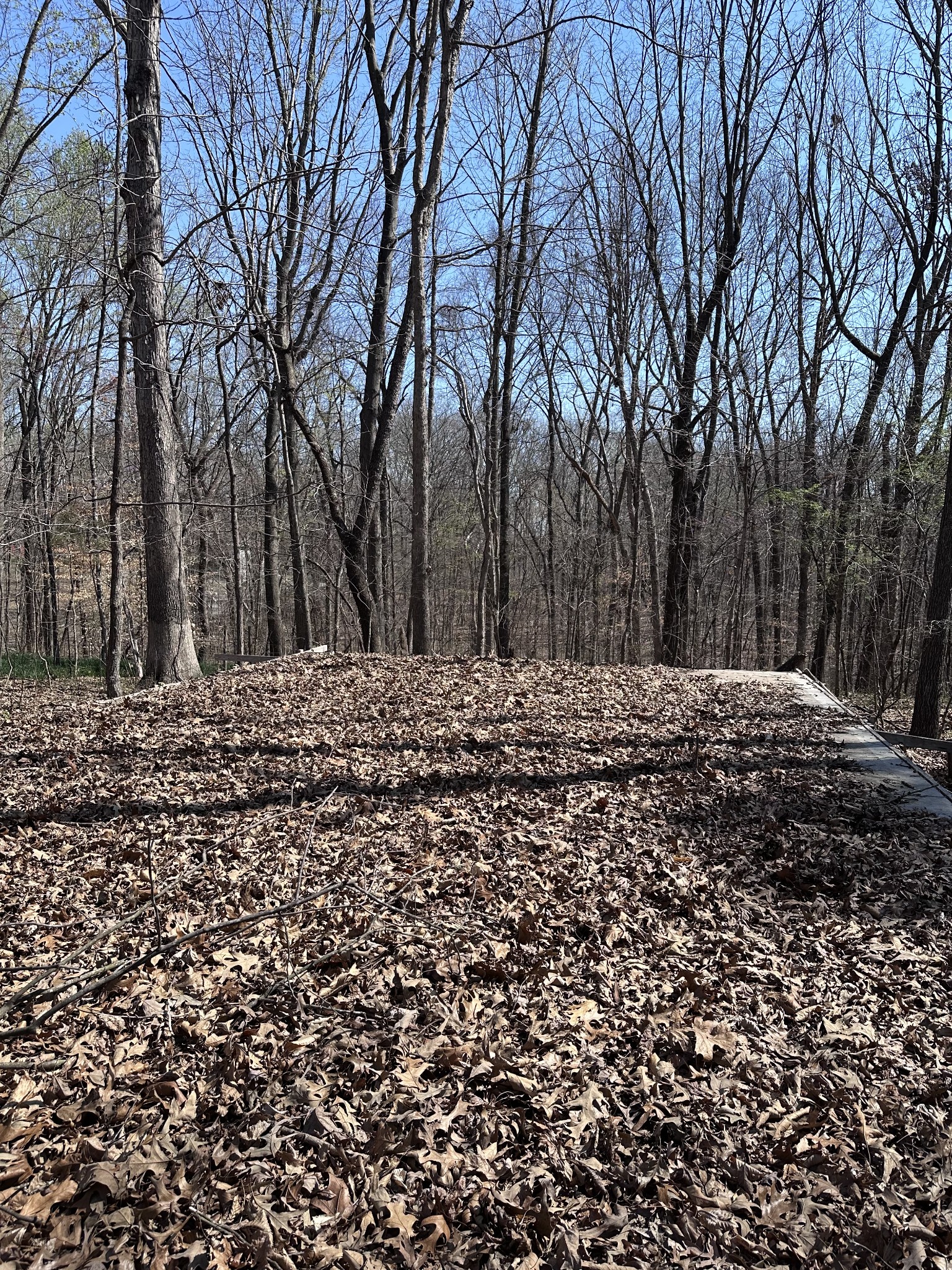 0 Campbell Road Cross Plains, TN 37049 - Photo 5 of 19