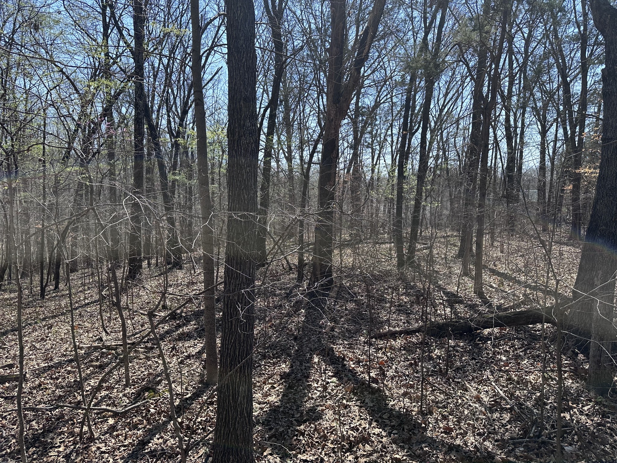 0 Campbell Road Cross Plains, TN 37049 - Photo 8 of 19