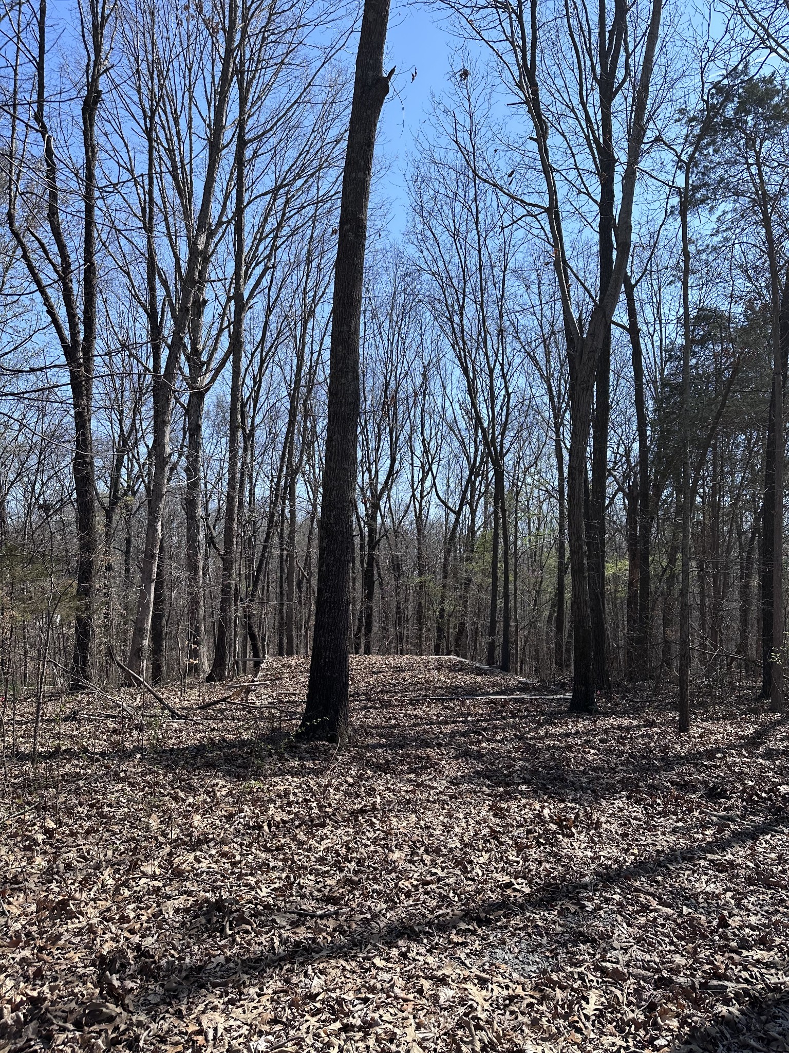 0 Campbell Road Cross Plains, TN 37049 - Photo 9 of 19